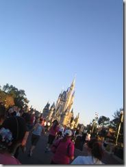 disney 184