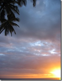 IMG_1626 IMG_1626
