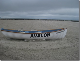 down the shore 130