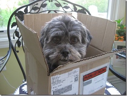 moving 103