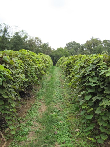 [September20090102.jpg]