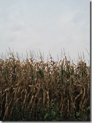 September 2009 059