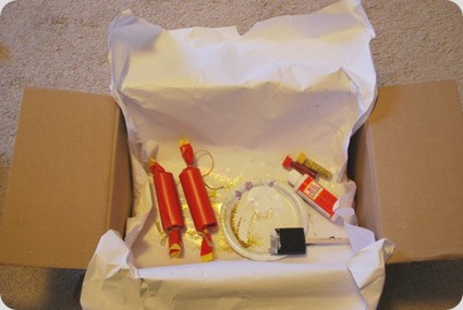 Firecrackers8