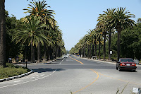 IMG_4313.JPG