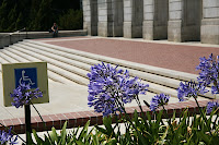 IMG_4406.JPG