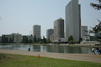 IMG_4377.JPG