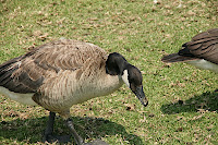 IMG_4374.JPG