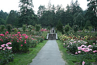 IMG_4512.JPG