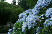 IMG_4511.JPG