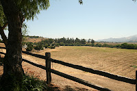 IMG_4622.JPG