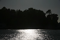 IMG_4797.JPG