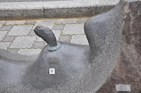 DSC_0132.JPG