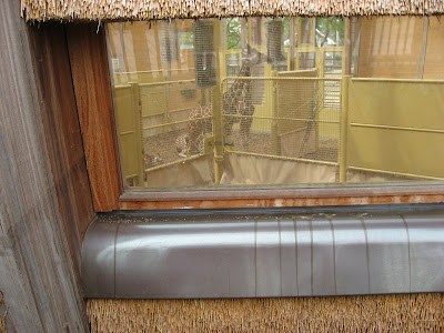  Blijdorp