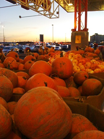 [20101008-pumpkins-1-edit5.jpg]