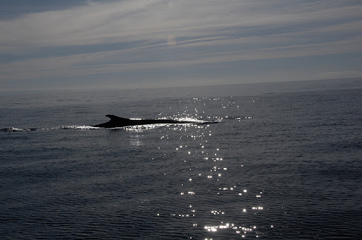 _DSC9120.jpg