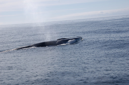 _DSC9122.jpg