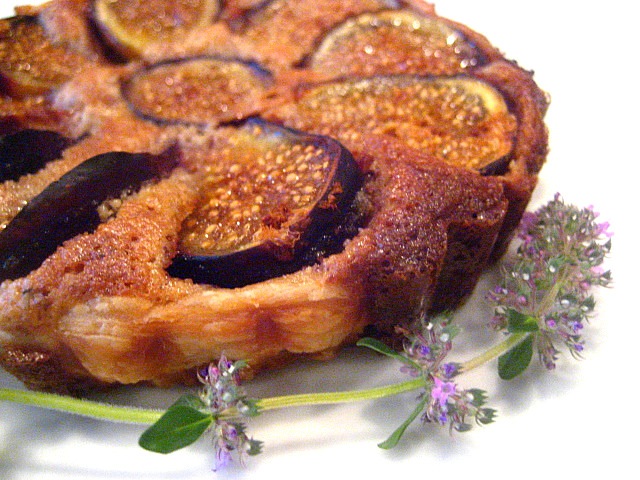 [fig tart[5].jpg]