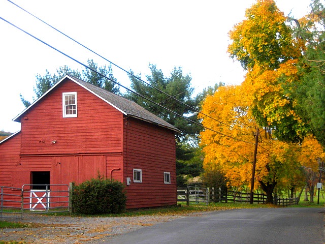 [fall[6].jpg]