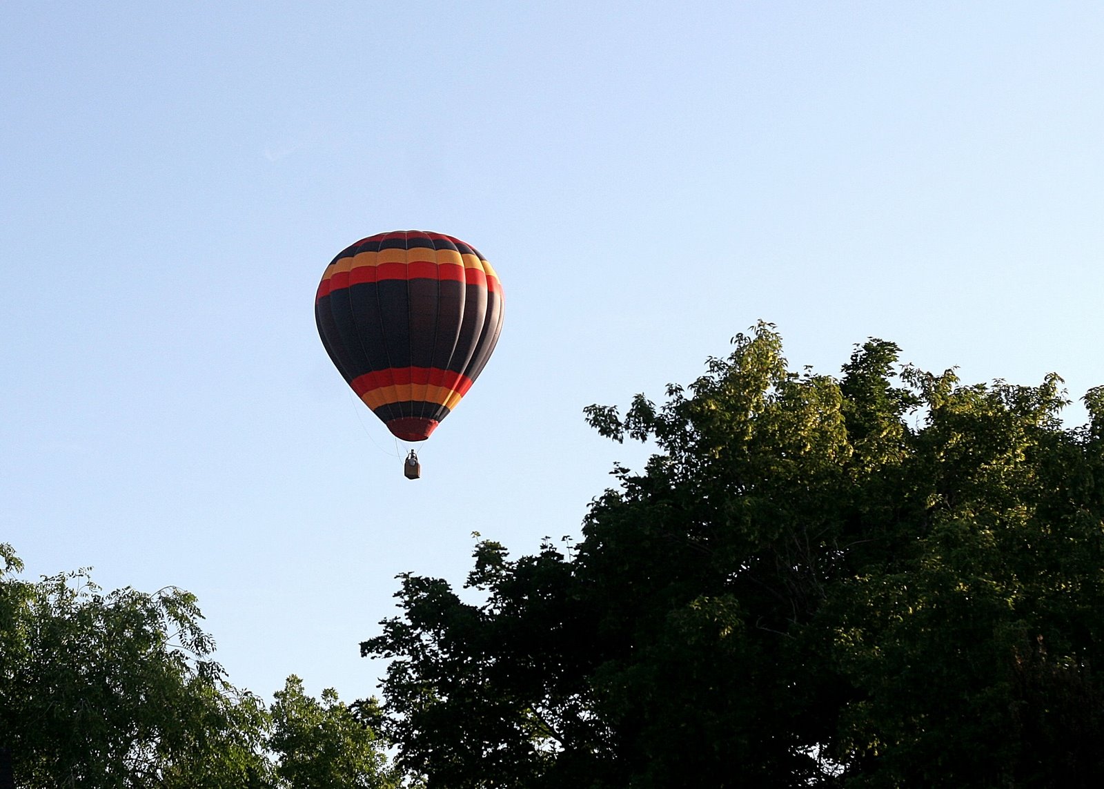 [Balloon 1[1].jpg]