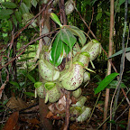 DSCN0478.JPG