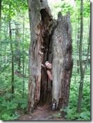 clip_image004[4]