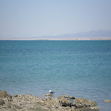 Cholla bay is very shallow and dries out at low tide but by the point there are many many places a sailboat could anchor in 6'+ depth of water at low tide.
