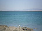 Cholla bay is very shallow and dries out at low tide but by the point there are many many places a sailboat could anchor in 6'+ depth of water at low tide.
