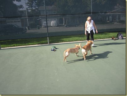 Wendy and Vienna both running towards Glenda when she ask the to come.