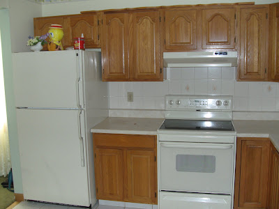 http://lh3.ggpht.com/_H6OF0iQPPIQ/Siwpul5IawI/AAAAAAAAROU/FrYTNAR1xNk/s400/Kitchen%20001.jpg