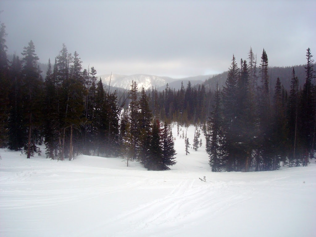 DSC08741.JPG