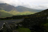IMG_9887.JPG