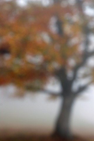 [2010 10 10_0480_modifiÃ©-3[5].jpg]