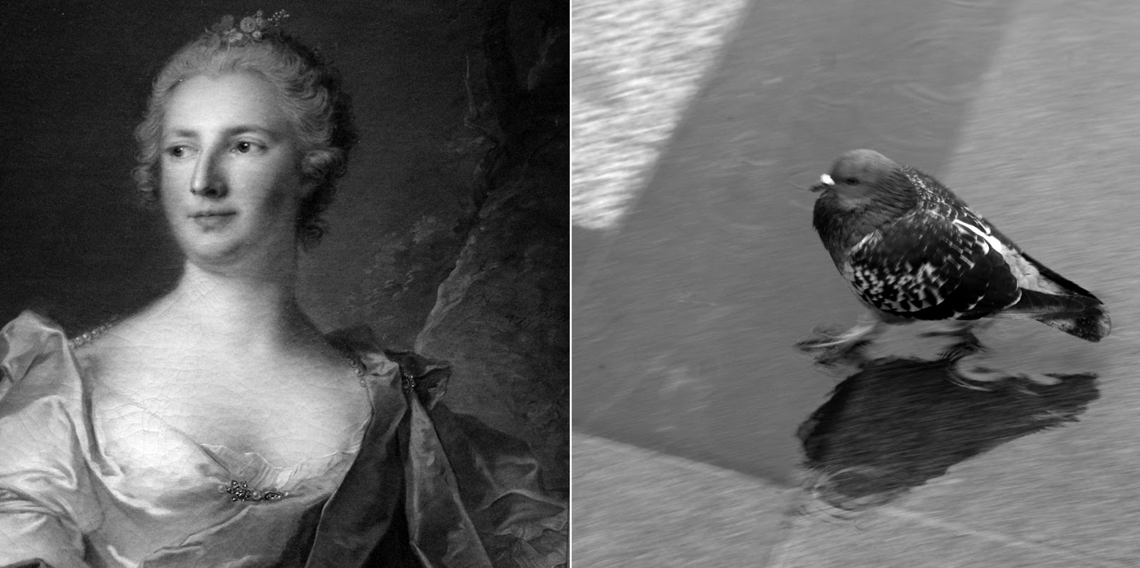 [2010-10-31_0839_modifi-35.jpg]