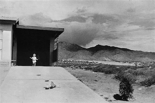 cga_value_winogrand 550 1.jpg