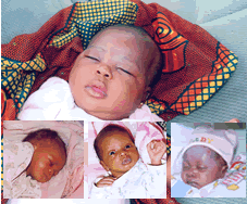 babies-abandoned.gif