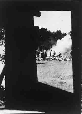 gdh1a.jpg