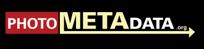 header_logo.gif