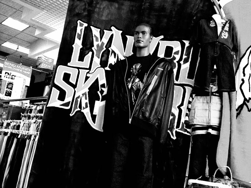 Personality Profile: Lynyrd Skynyrd Fan