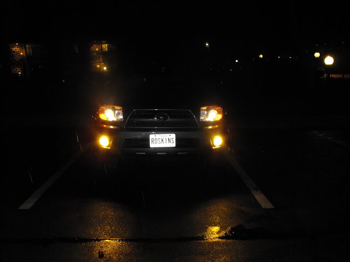 new%20fogs.JPG
