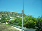  greee