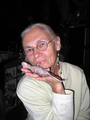 CC_6260.jpg