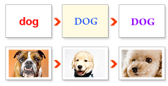 [brill-dog5.png]
