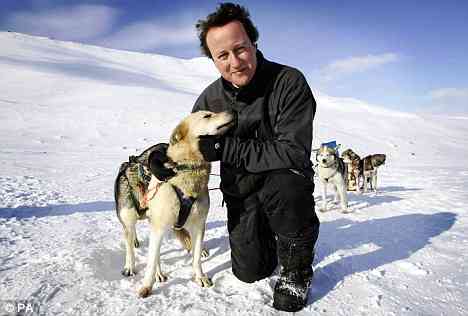 David Cameron