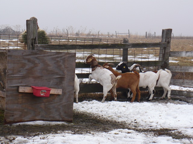 [winter 2007 066[3].jpg]