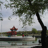 石河子大学风景