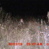 MDGC0054.JPG