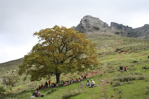 Camino del Pico de la Tiñosa (Techo de Cordoba). Daniel Vicente