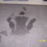 100_1809.JPG