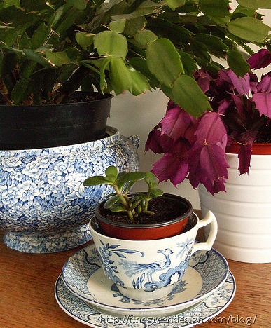 [houseplant-containers[9].jpg]