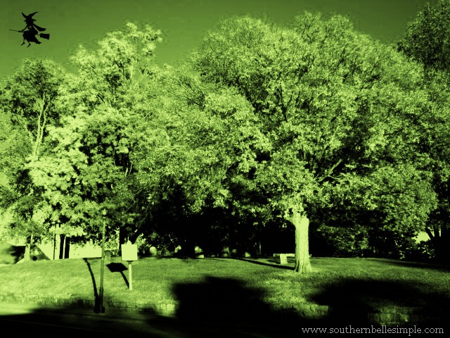 [DSC01670-1[12].jpg]